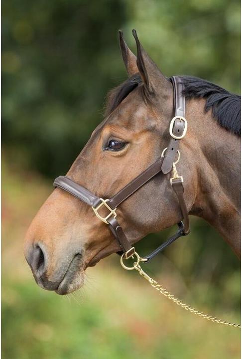 Produktbild HFI Master Raised