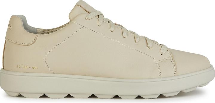 Produktbild Geox Spherica Ecub-1 C (42)