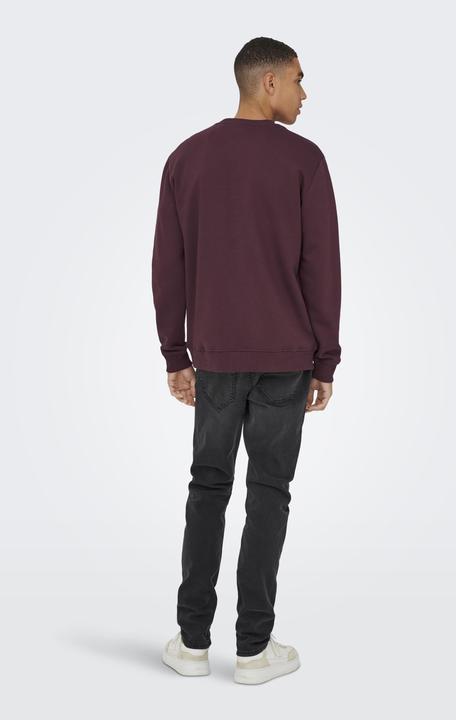 Immagine prodotto Only & Sons Onsconnor Reg Crew Neck Sweat Noos (L)