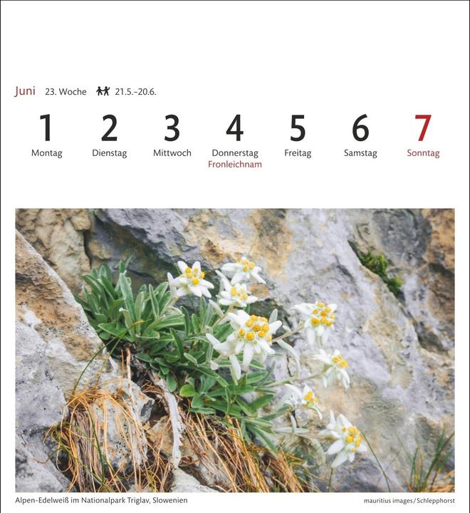 Produktbild Alpen Sehnsuchtskalender 2026 - Wochenkalender mit 53 Postkarten