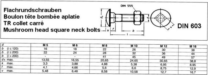 Actual product image Dönges Truss-head bolt with square neck DIN 603, electrogalvanised, M6x30 (500 Screws per piece)