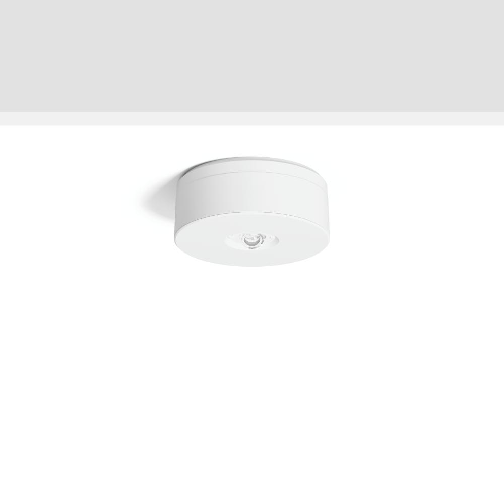 RZB, Arbeitsleuchte, LED-Sicherheitsleuchte (310 lm)
