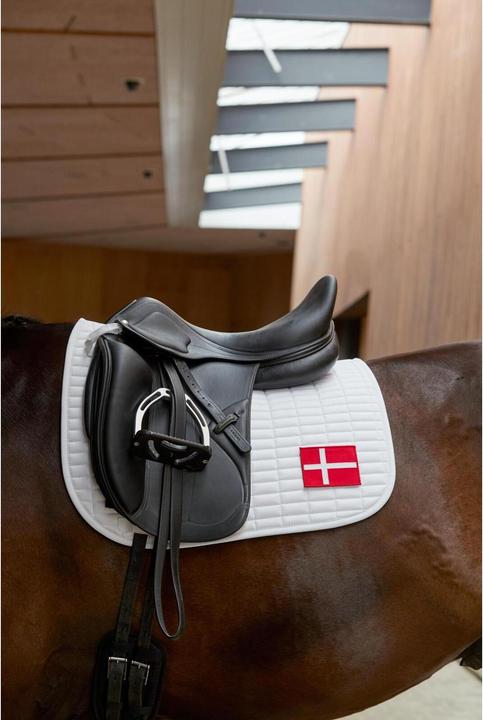 Actual product image Horse Guard 16"