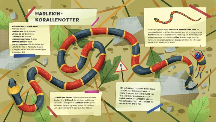 Produktbild National Geographic Besonders und wunderbar: Reptilien (Deutsch, Cristina Banfi, 2021)