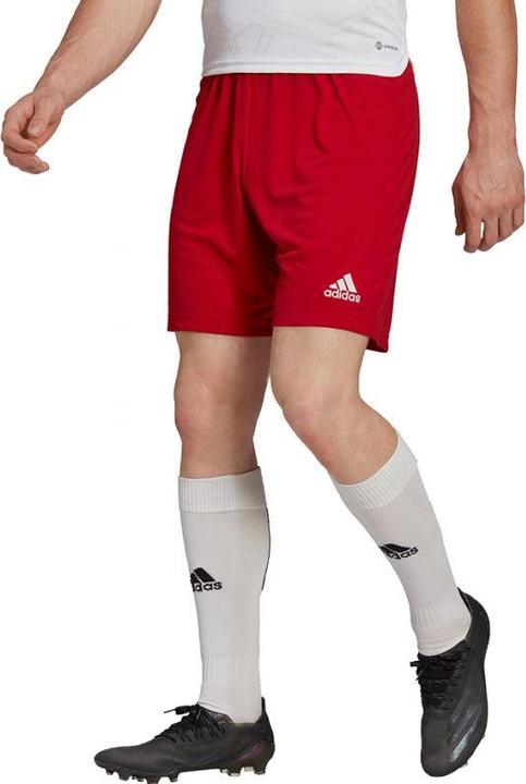 Actual product image Adidas Entrada 22 Shorts Men (S)