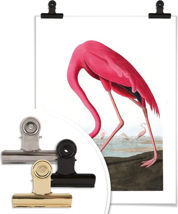 Image du produit Trenddeko Flamant rose (30 x 40 cm)