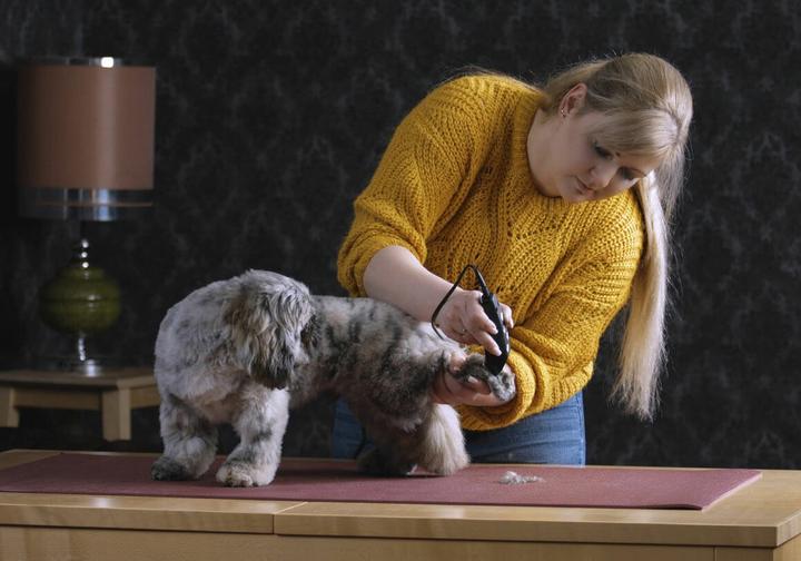 Actual product image Moser Rex Mini (Dog, Cat)