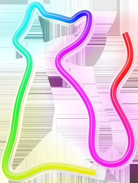 Image du produit Forever Light Néon LED RGB CAT FLRN03 + RC