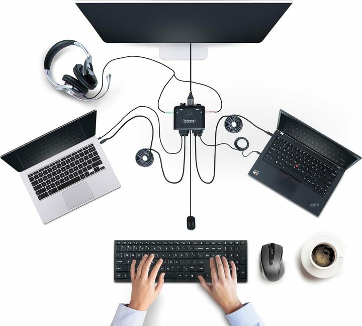 Immagine prodotto StarTech C2-D46-UC2-CBL-KVM