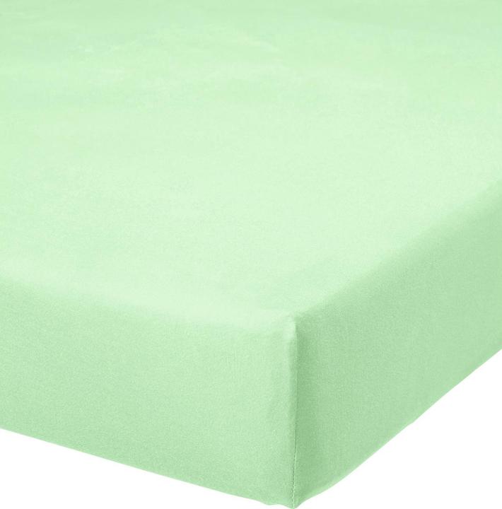 Mint
