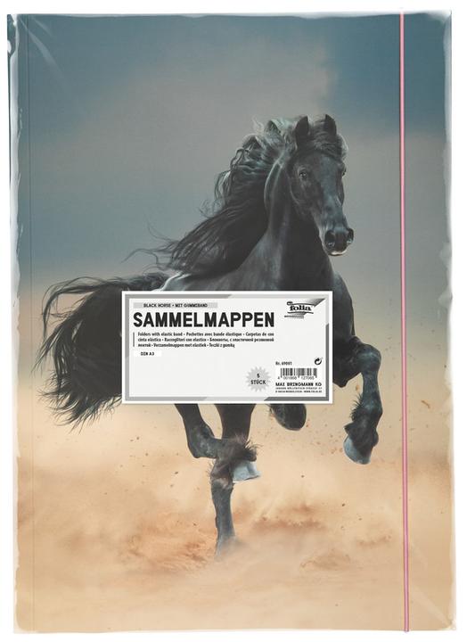 Produktbild Folia Zeichnungsmappe BASIC "Black Horse", Karton, DIN A3 (A3, 1 x)