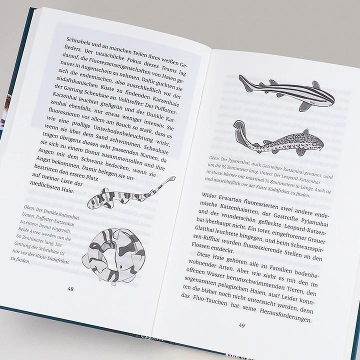 Actual product image Hanserblau Wenn Haie leuchten (German, Julia Schnetzer, 2021)