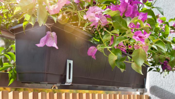 Produktbild Windhager Blumenkasten-Halter