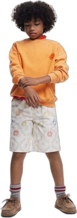 Actual product image Desigual Arnold (140)