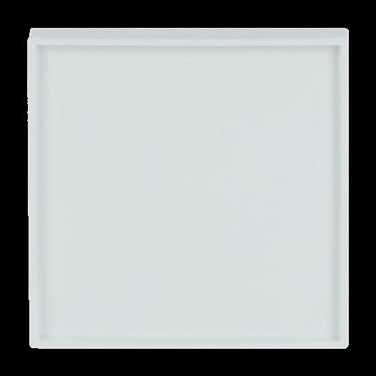 Produktbild Busch-Jaeger Zentralscheibe