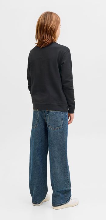 Produktbild Jack & Jones Jjearchive Graphic Sweat Cn Sn Jnr (164)