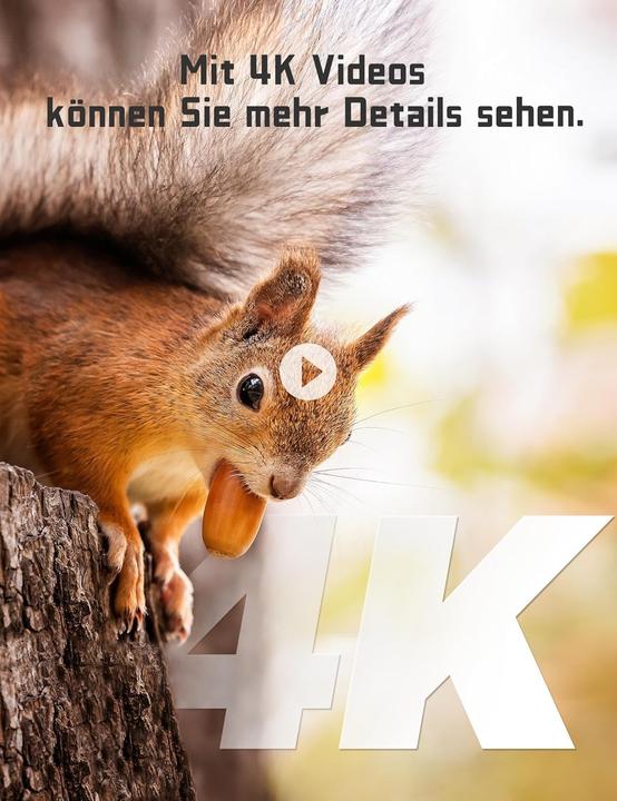 Produktbild Ceyomur Wildkamera mit 4K HD und Bewegungsmelder