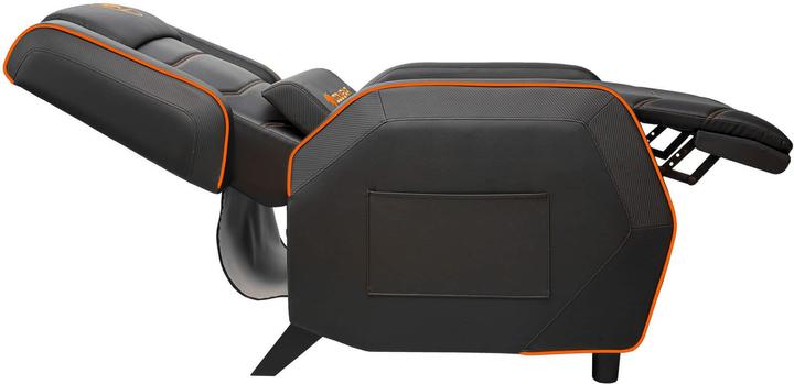 Actual product image Cougar Ranger