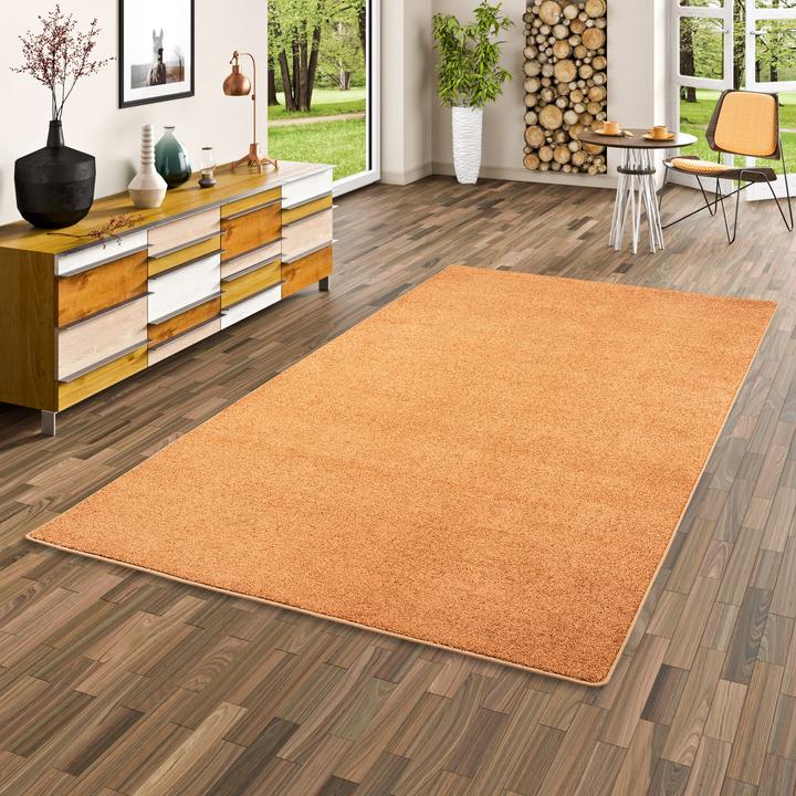 Actual product image Snapstyle High pile velour carpet Luna (80 x 240 cm)