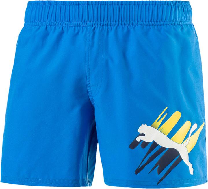 Produktbild Puma Style Summer Big Cat Shorts (XL)