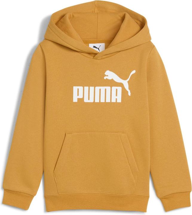Image du produit Puma Sweat à capuche ESS No. 1 Logo FL PS (110)