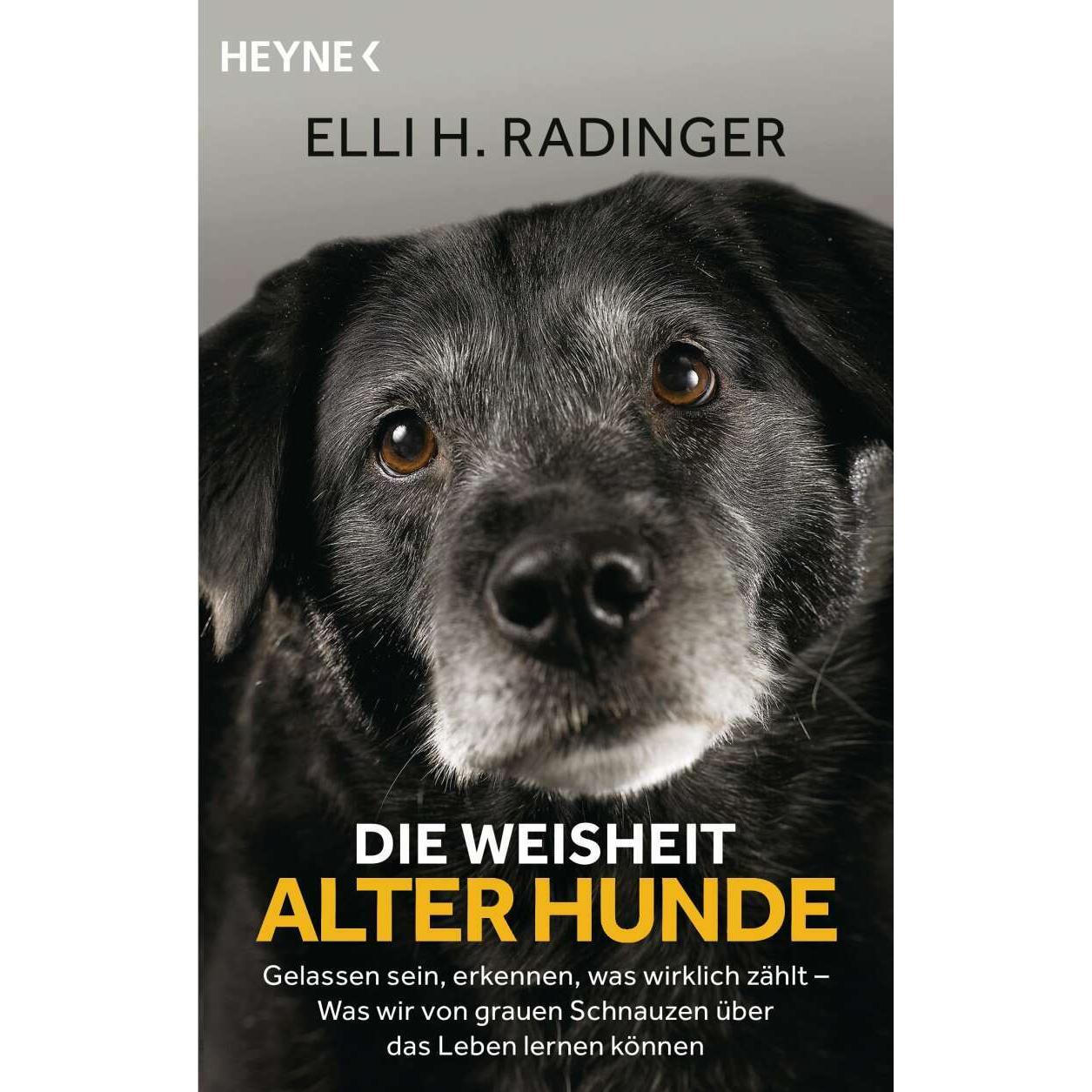 Thumbnail - Die Weisheit alter Hunde, Sachbücher von Leïla Slimani