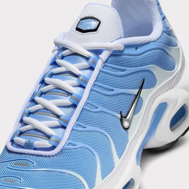 Image du produit Nike Air Max Plus (41)
