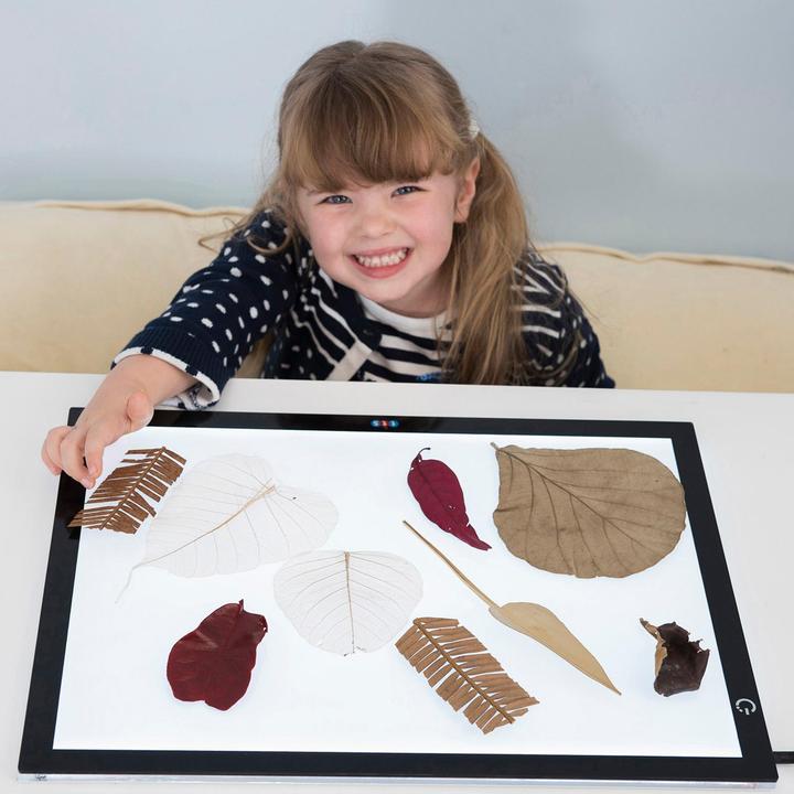 Image du produit TTS Table lumineuse