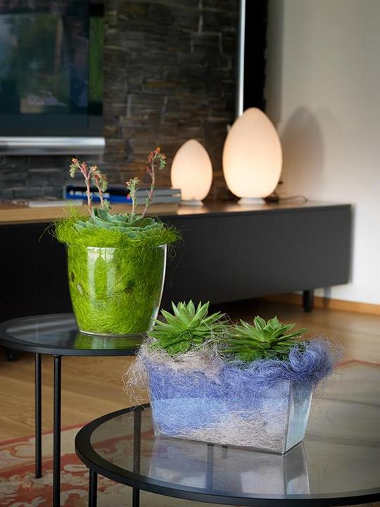 Produktbild Herstera Madeira