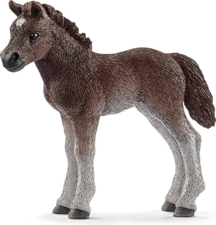 Produktbild Schleich Pony und Fohlen