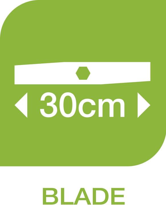 Produktbild Flymo 970539501 (Akkubetrieb)