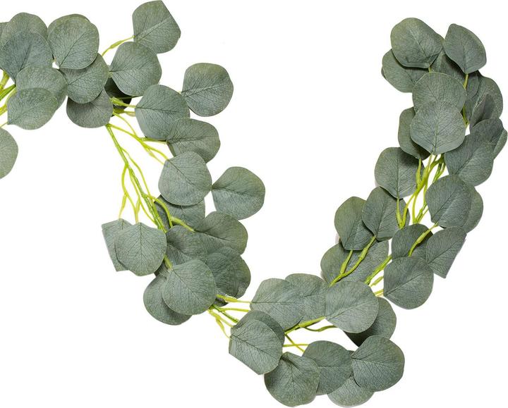 Immagine prodotto IDIMEX Eukalyptus (4 cm)