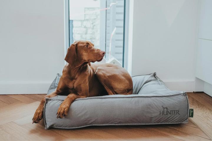 Actual product image Hunter Dog cushion Lancaster cotton quilted (Dog)