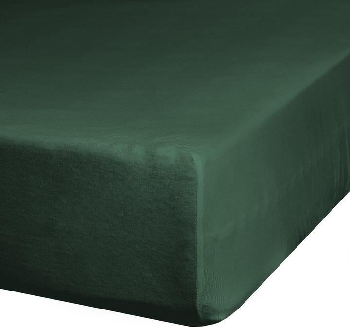 Immagine prodotto Eurofirany D91 (120 x 200 cm)