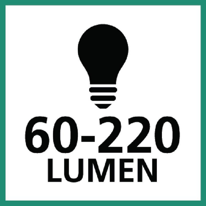 Actual product image Ledlenser W4R Work (220 lm)