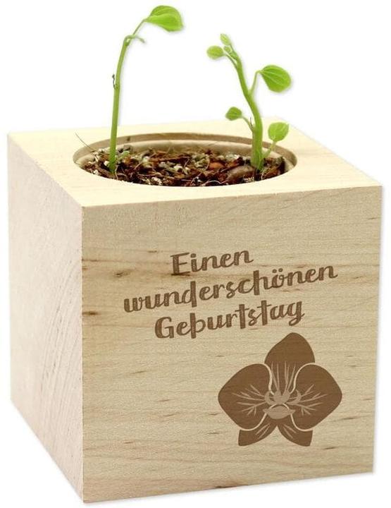 Image du produit Feel Green Célébrations vertes - Orchidée