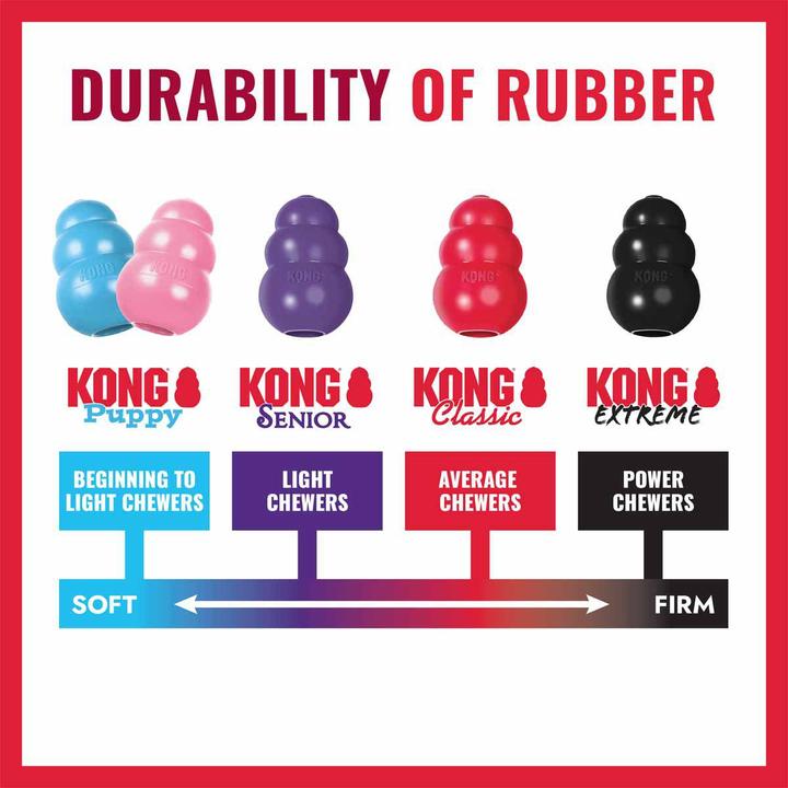 Actual product image KONG Ball (Ball toy dog)