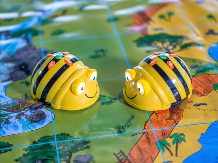 Actual product image TTS Bee-Bot Class Set