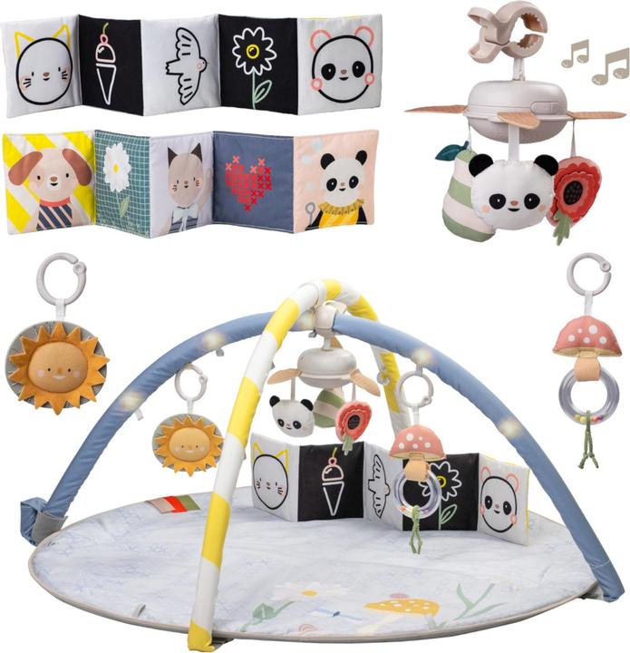 Image du produit Taf Toys Melody Bloom