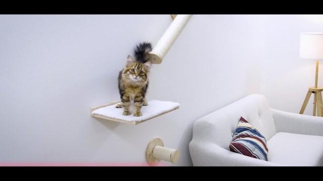 Produktbild Kerbl Kletterwand Alps (50 cm, Beige, Natur, Weiss)