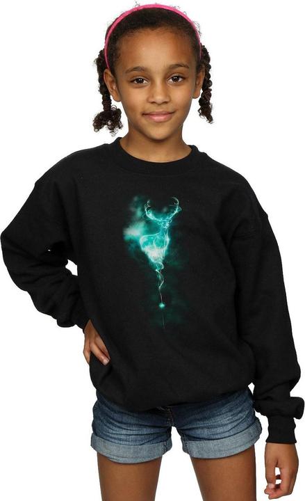 Image du produit - Sweat STAG PATRONUS MIST - Fille (116)