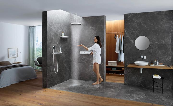 Image du produit hansgrohe Isiflex (160 cm)