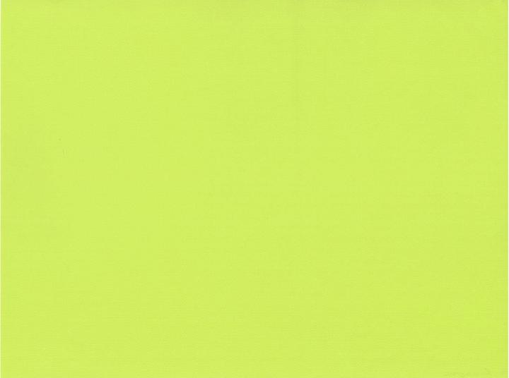 Papstar Sets de table (100 pcs, 30 x 40 cm)