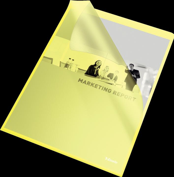 Actual product image Leitz Esselte (A4, 100 x)