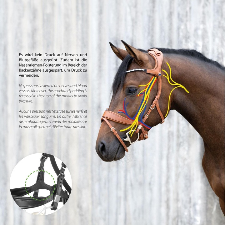 Produktbild Stübben Zaum Freedom II Magic Tack mit Slide&Lock