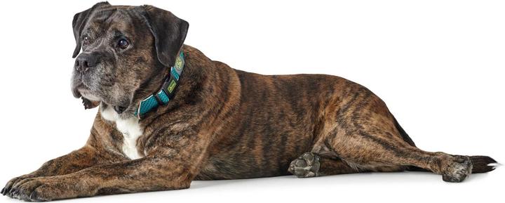 Immagine prodotto Hunter Collare per cani Hilo Vario Plus (L, XL, Cane, Sport cane)