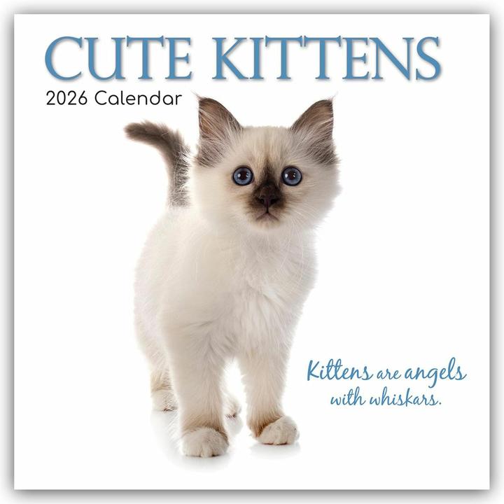 Produktbild Gifted Stationery Co. Ltd:Cute Kittens (30,5 x 30,5 cm)