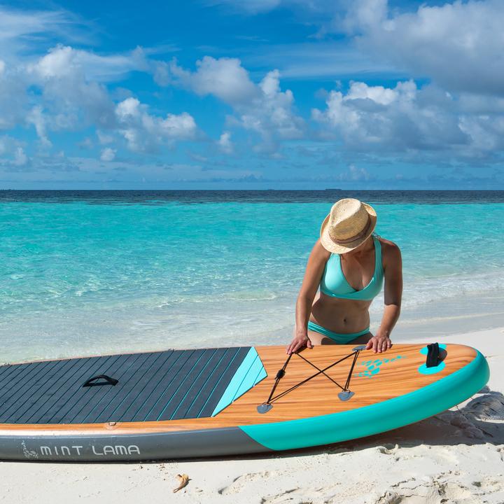 Image du produit Mint Lama Family (10'6")