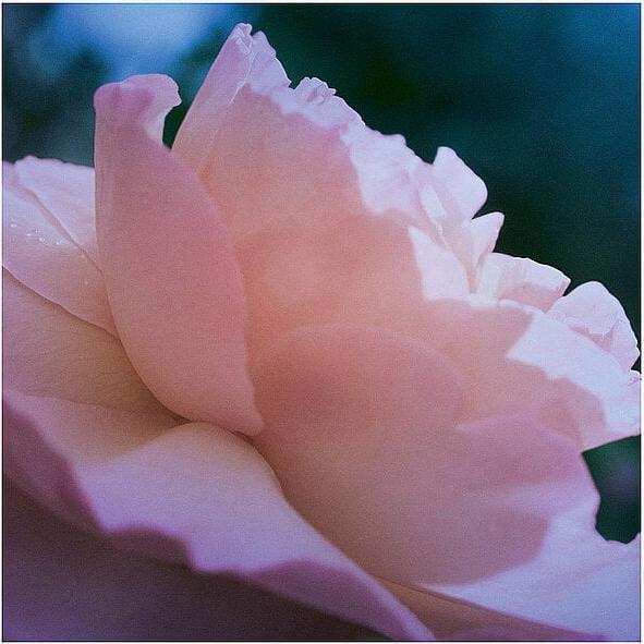 Produktbild Maison Martin Margiela Maison Margiela Replica Up At Dawn Eau De Toilette 100 Ml (Eau de Toilette, 100 ml)