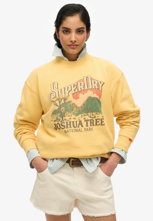 Actual product image Superdry Souvenir Graphic Loose Crew (M)